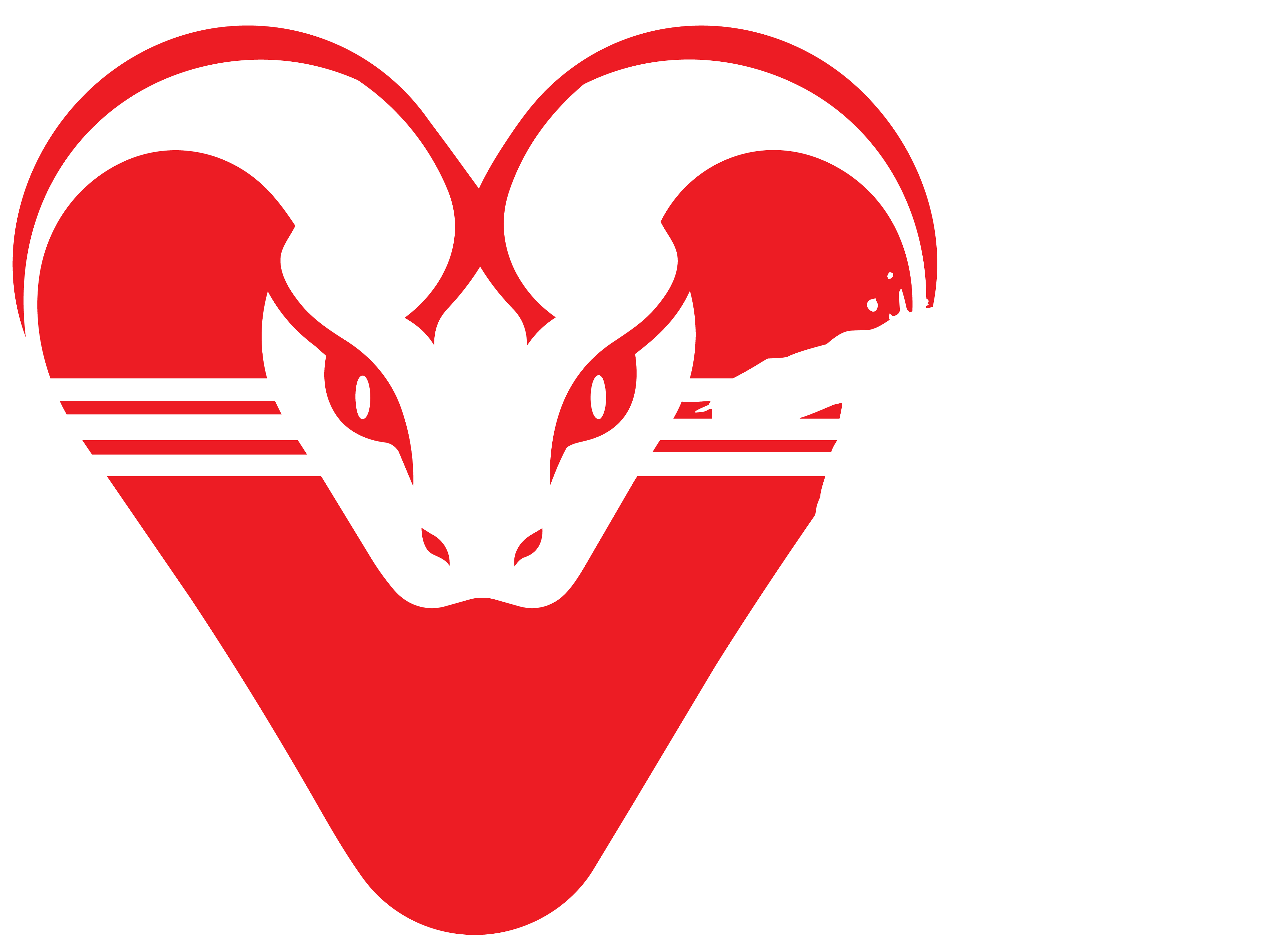 Red Viper TV